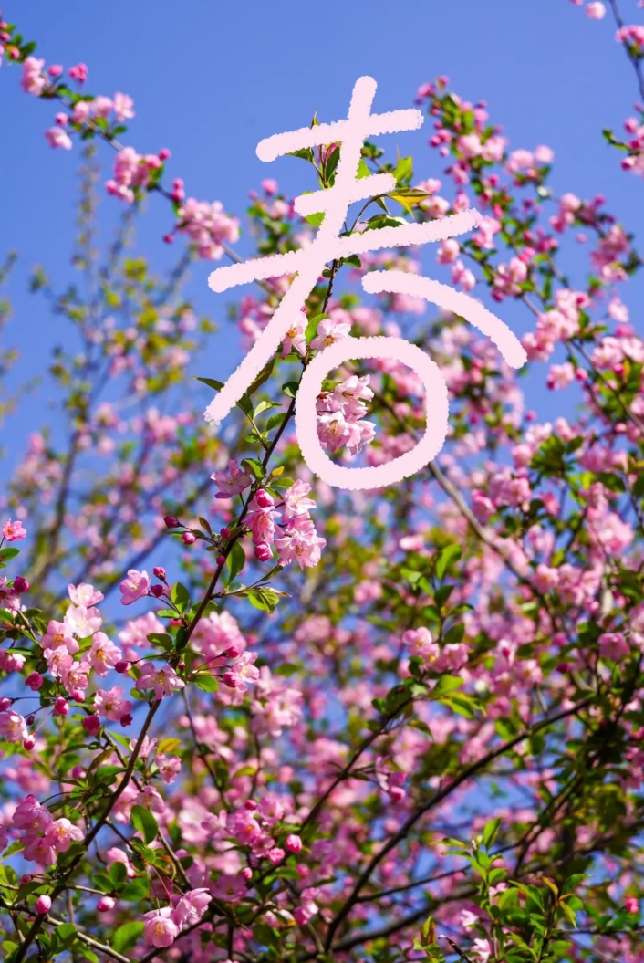 当汉字遇上锡职的春天！2.png