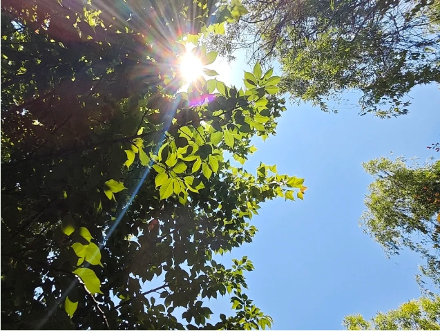 在常信邂逅那一抹初夏的温柔3.png
