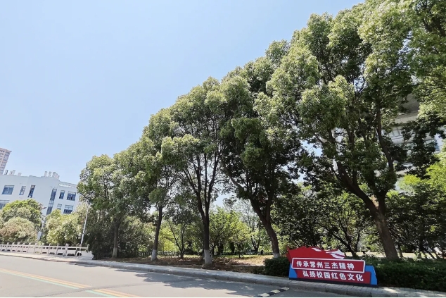 在常信邂逅那一抹初夏的温柔4.png