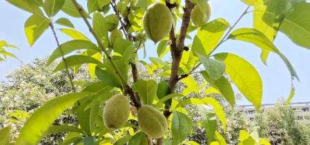 在常信邂逅那一抹初夏的温柔11.png