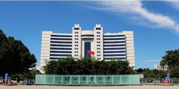 停招！这省“双一流”校区，转给独立学院！