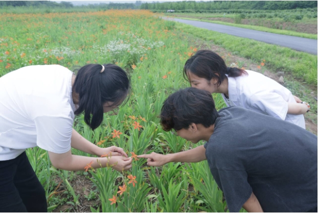 江苏护理职业学院：探寻中医药文化传承与创新2.png