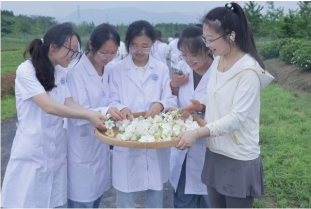 江苏护理职业学院：探寻中医药文化传承与创新3.png