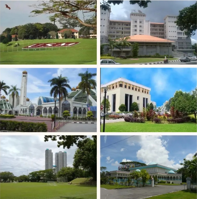 高考后留学性价比之王！南京财经大学国际本硕连读项目.png