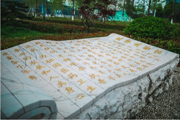欢迎报考南京医科大学康达学院，您关心的问题都在这里！2.png