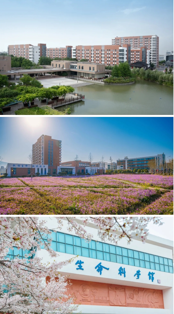 欢迎报考南京医科大学康达学院，您关心的问题都在这里26.png