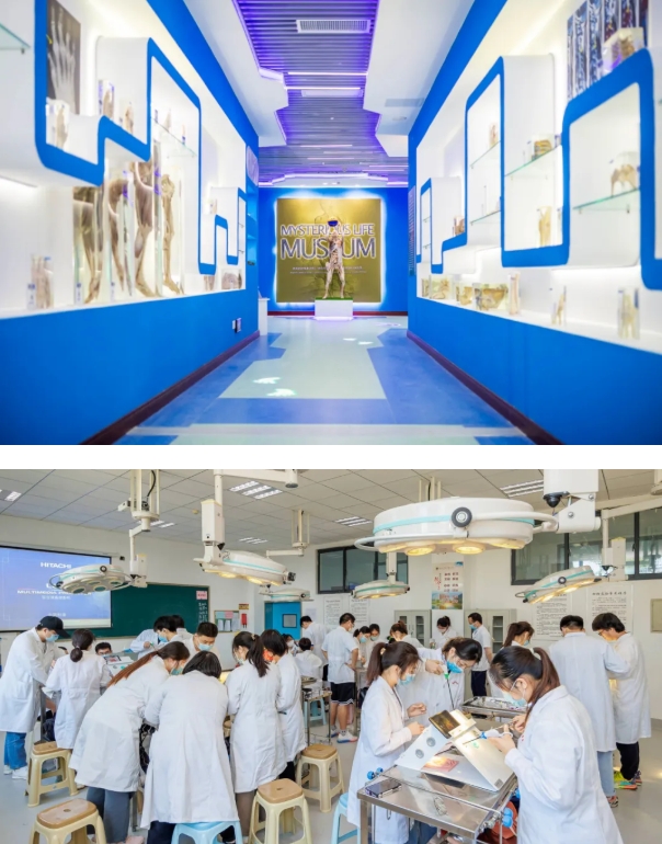 欢迎报考南京医科大学康达学院，您关心的问题都在这里32.png