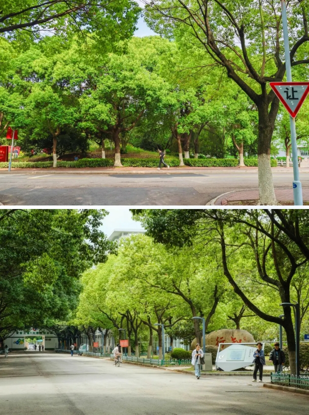 常州工程职业技术学院光影校园！ 邂逅“夏”一站美好4.png
