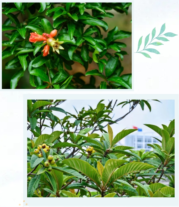 常州工程职业技术学院光影校园！ 邂逅“夏”一站美好6.png