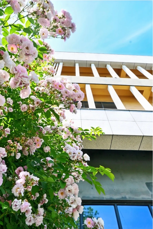 常州工程职业技术学院光影校园！ 邂逅“夏”一站美好12.png