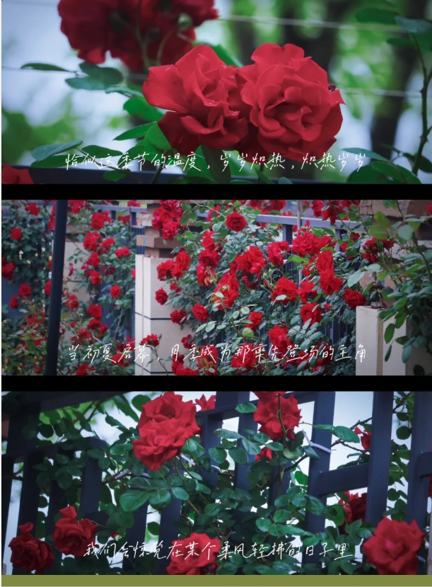 南机电的空镜头诗3.png
