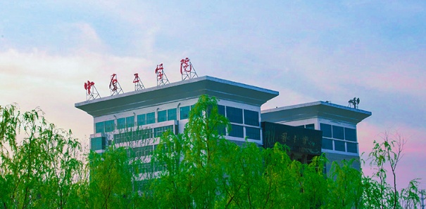 力争更名！新“电子科技大学”，要来了！