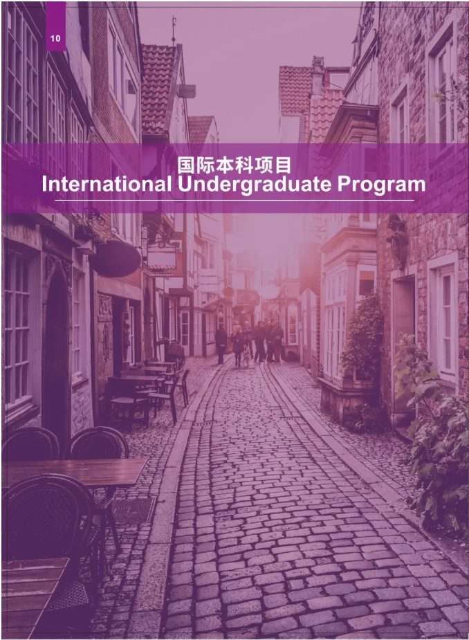 2025年南京理工大学国际本科“2+2”项目招生简章13.png