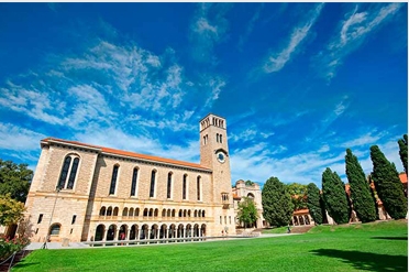 西南大学西塔学院2025年本科生二次选拔的通知