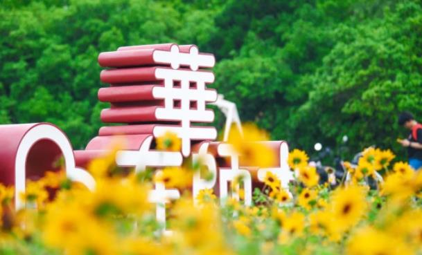 华东师大卓越学院2025级招生启动：10个拔尖计划、5个校级实验班