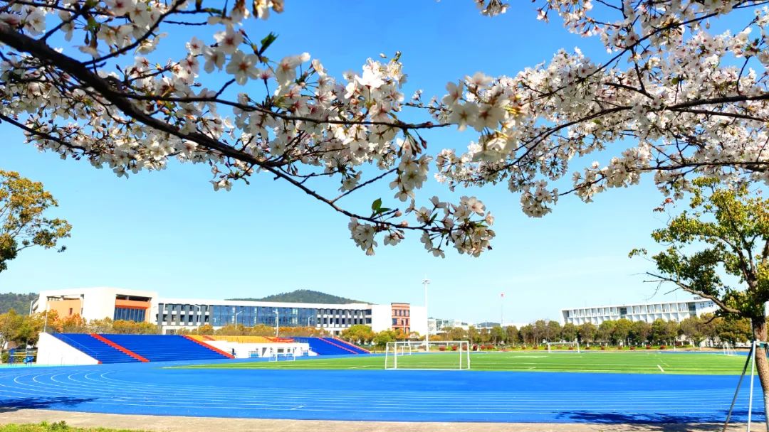 3300名新生！苏州工业职业技术学院2025年新生大数据来啦！