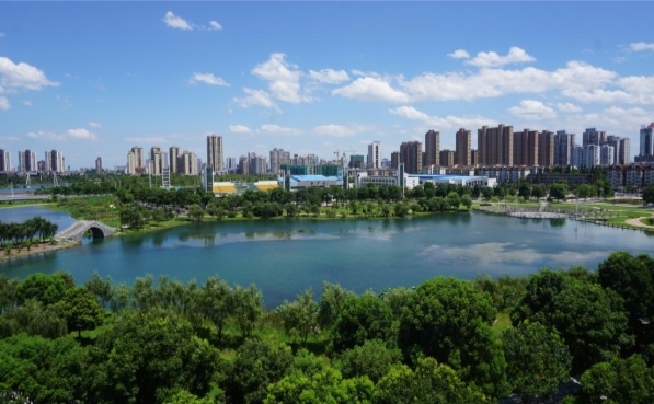 这一所高校拟停招29个专业！