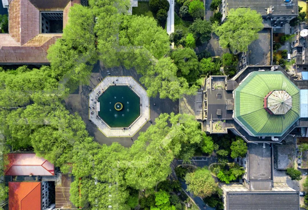 转段率超78%！东南大学2022级强基计划转段名单公示！