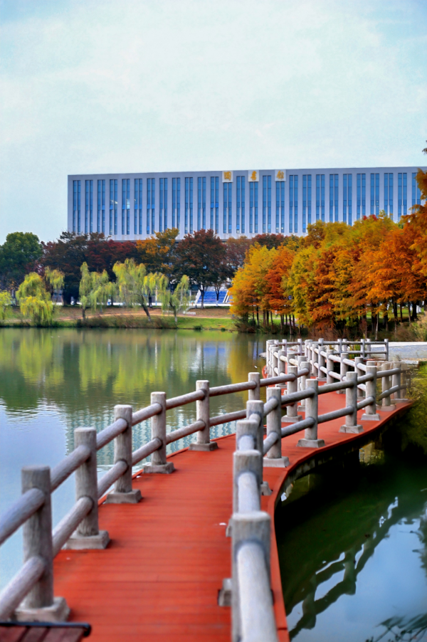 1762756728422089.png 交院寻秋季,一叶浸透交院秋色!15_副本.png