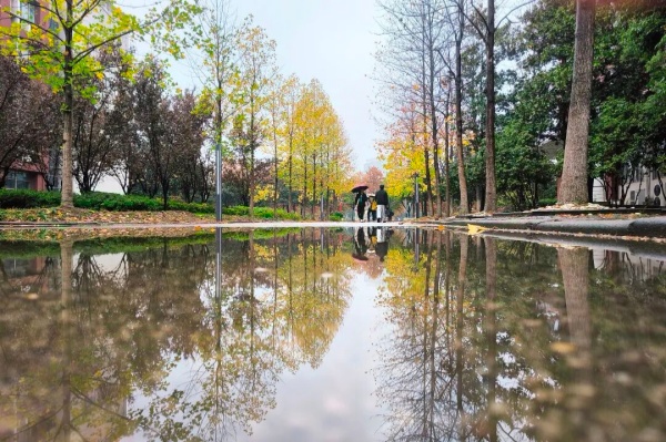 1762757168537091.jpg 交院寻秋季,一叶浸透交院秋色!12_副本.jpg