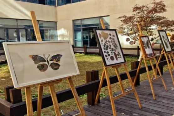 硅湖职业技术学院 从兴趣出发，让热爱发光3_副本.jpg