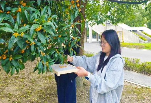 硅湖职业技术学院 从兴趣出发，让热爱发光8.png