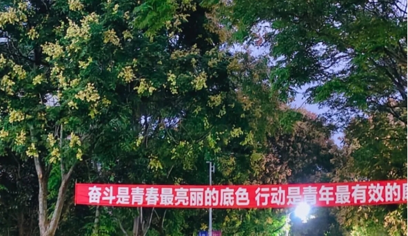 细碎光影，光阴成诗——扬州职业技术大学的校园日常2.png