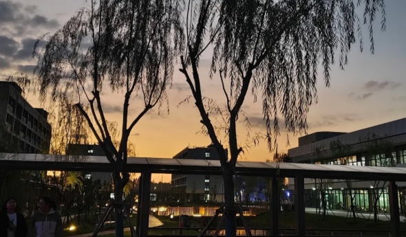 细碎光影，光阴成诗——扬州职业技术大学的校园日常7.png