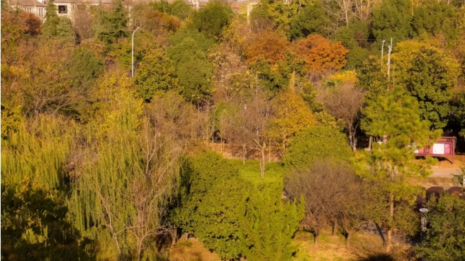 江苏卫生健康职业学院 一年好景君须记，最是橙黄橘绿时2.jpg