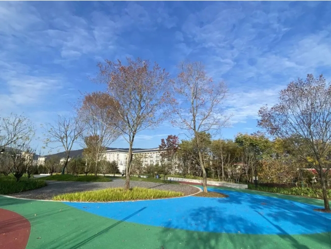 江苏卫生健康职业学院 一年好景君须记，最是橙黄橘绿时13.png