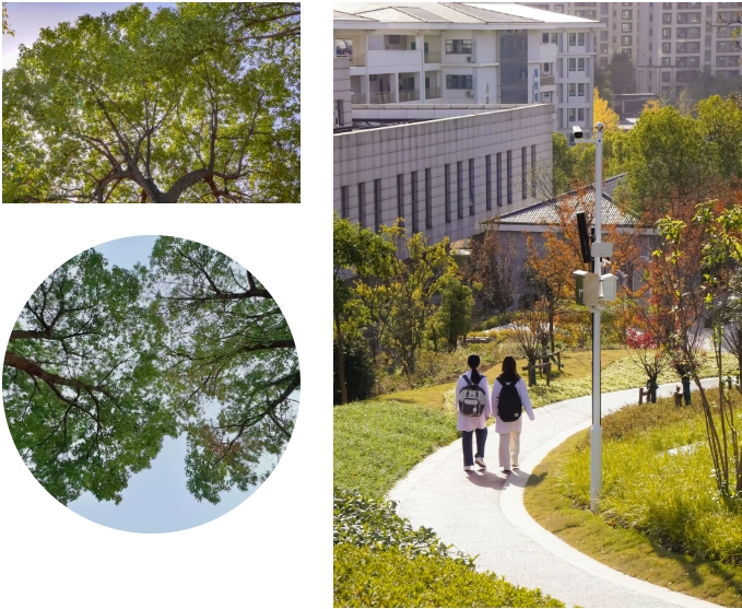 江苏卫生健康职业学院 一年好景君须记，最是橙黄橘绿时22.png