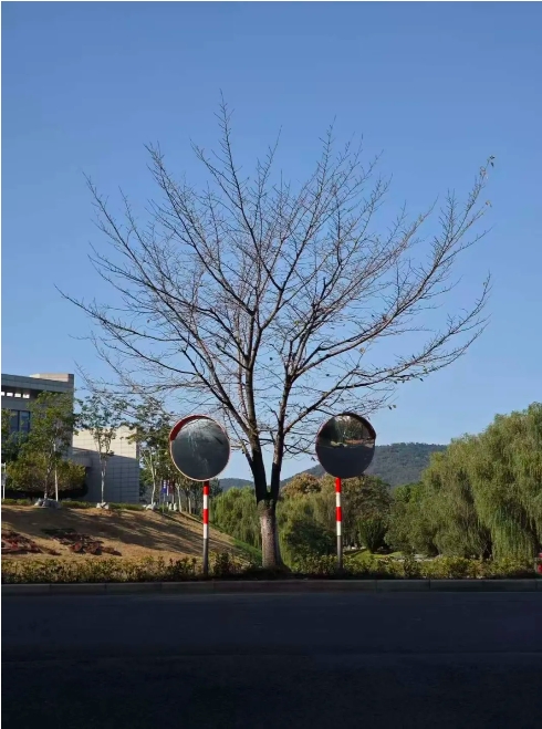 江卫冬日集 这些藏在朋友圈里的甜，是青春的“温度特调”3.png