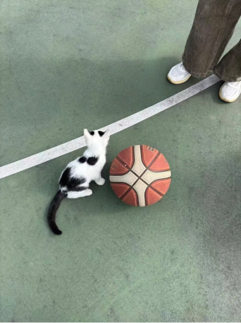 江卫冬日集 这些藏在朋友圈里的甜，是青春的“温度特调”4.png