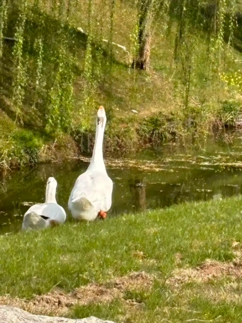 江卫冬日集 这些藏在朋友圈里的甜，是青春的“温度特调”6.png