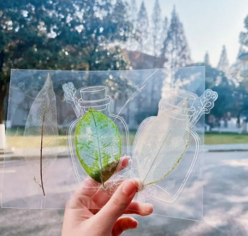 1765856009950327.png 太湖创意职业技术学院拾叶集:校园草木标本里的青春私语3.png