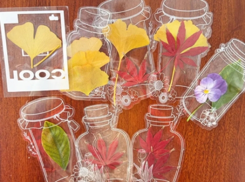 1765856046385318.png 太湖创意职业技术学院拾叶集:校园草木标本里的青春私语4.png