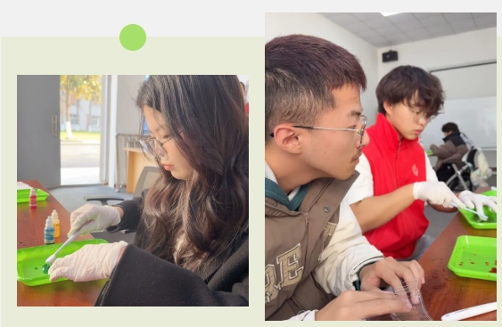 1765856053424844.png 太湖创意职业技术学院拾叶集:校园草木标本里的青春私语5.png