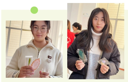 1765856108783876.png 太湖创意职业技术学院拾叶集:校园草木标本里的青春私语8.png