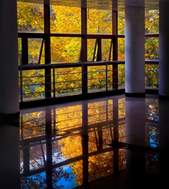 1766050605228863.png 邂逅窗棂里的交院7.png