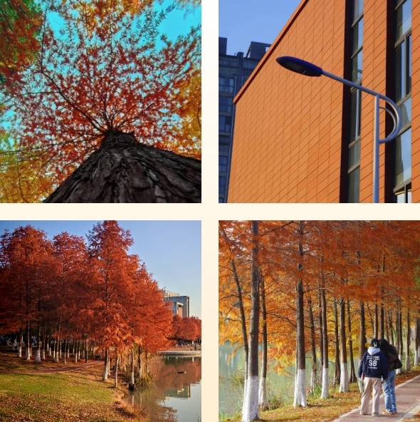 光影交院 一场关于校园一角的静谧凝视2.png