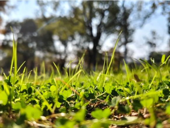 光影交院 一场关于校园一角的静谧凝视11.png