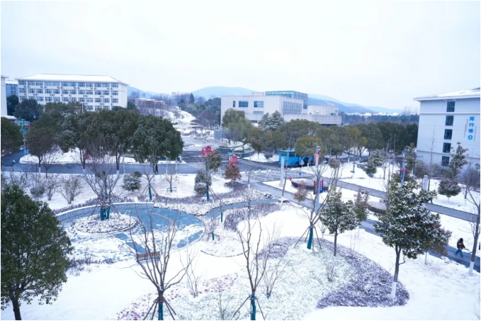 琼花缀白衣 江苏卫生健康职业学院的浪漫雪日记忆.png