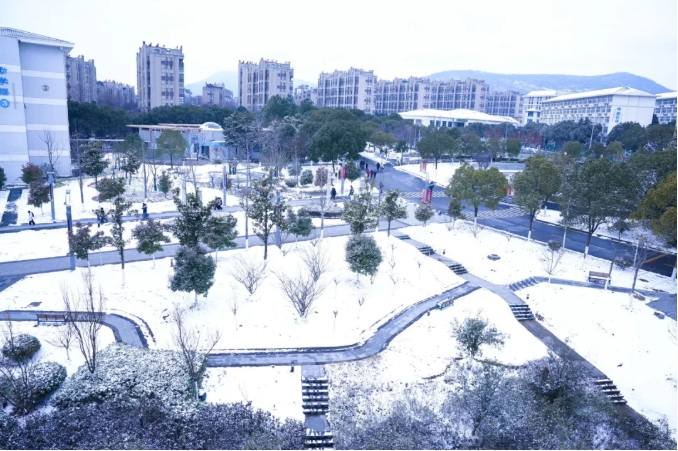 琼花缀白衣|江苏卫生健康职业学院的浪漫雪日记忆