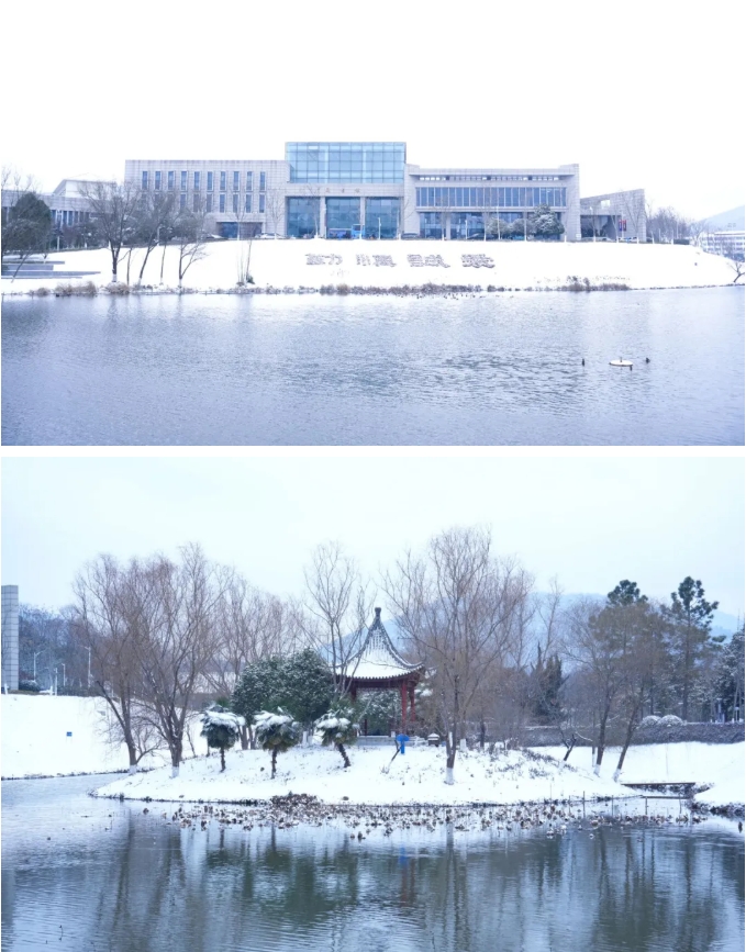 琼花缀白衣 江苏卫生健康职业学院的浪漫雪日记忆3.png