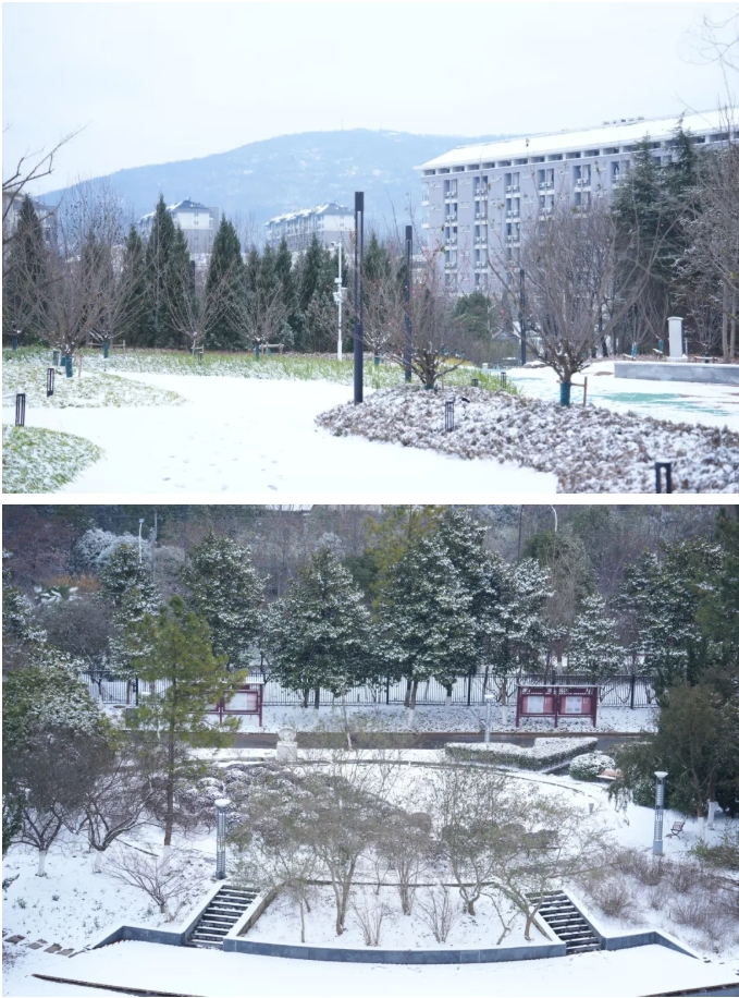 琼花缀白衣 江苏卫生健康职业学院的浪漫雪日记忆5.png