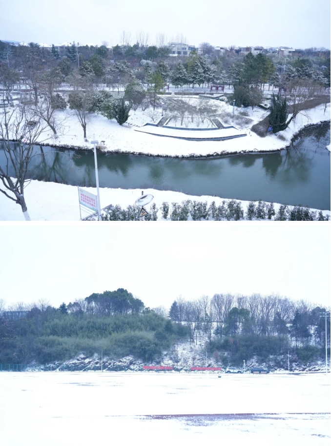 琼花缀白衣 江苏卫生健康职业学院的浪漫雪日记忆6.png