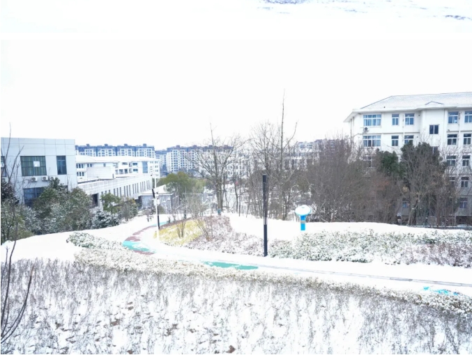 琼花缀白衣 江苏卫生健康职业学院的浪漫雪日记忆7.png