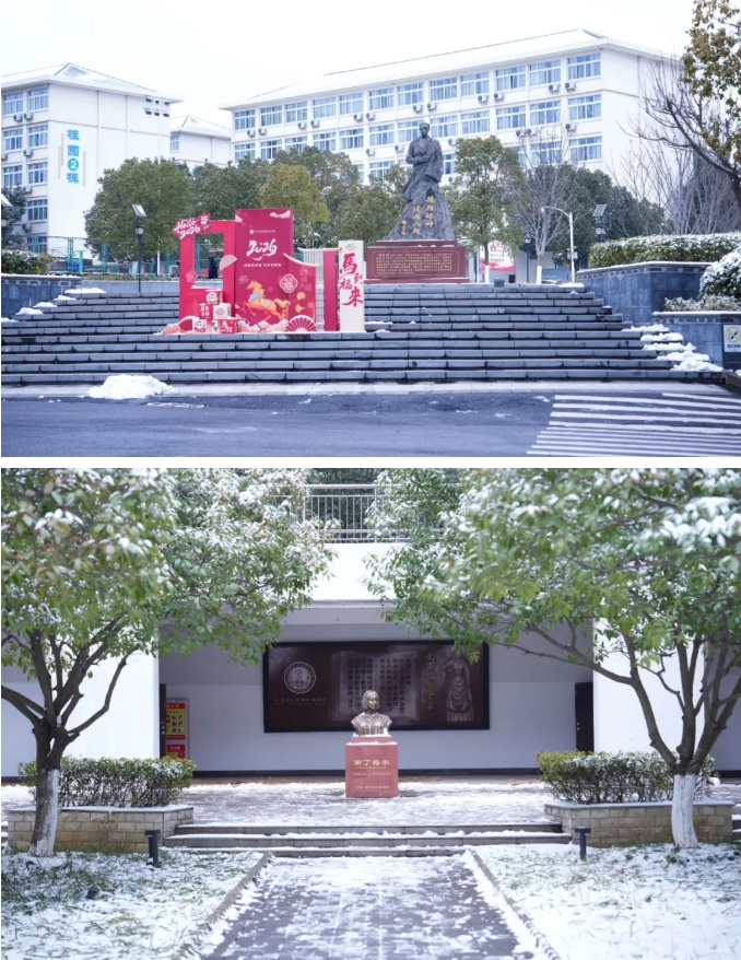 琼花缀白衣 江苏卫生健康职业学院的浪漫雪日记忆8.png