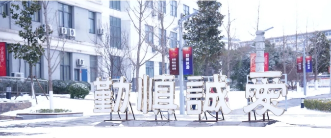 琼花缀白衣 江苏卫生健康职业学院的浪漫雪日记忆11.png