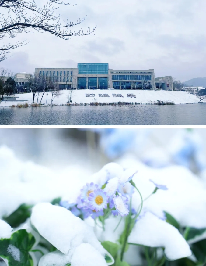 琼花缀白衣 江苏卫生健康职业学院的浪漫雪日记忆12.png